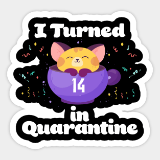 I Turned 14 In Quarantine Sticker